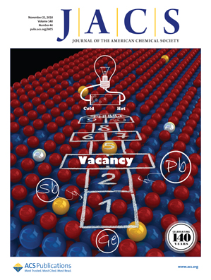 Image for Advanced Polymers in Drug Delivery Systems
