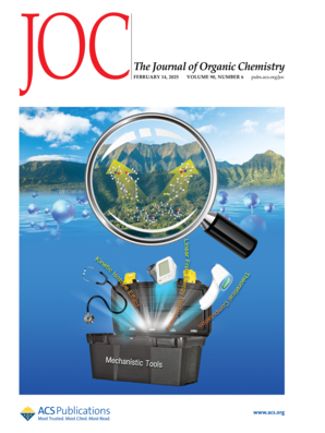 Image for Advanced Polymers in Drug Delivery Systems