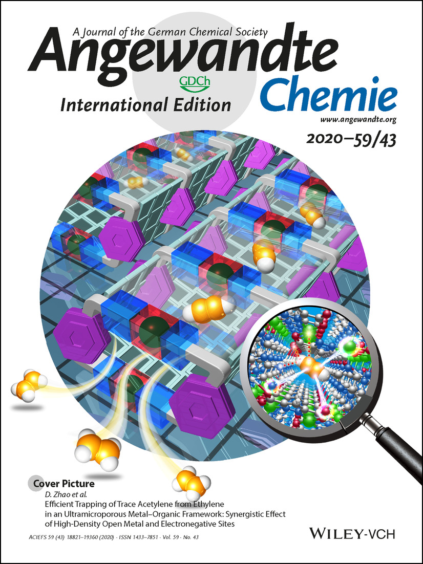 Image for Advanced Polymers in Drug Delivery Systems