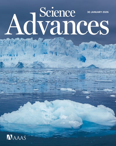 Image for Advanced Polymers in Drug Delivery Systems