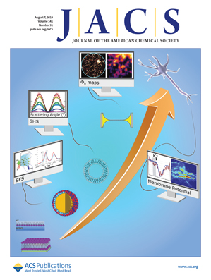 Image for Advanced Polymers in Drug Delivery Systems