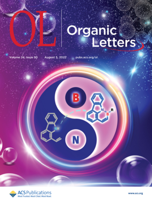 Image for Advanced Polymers in Drug Delivery Systems